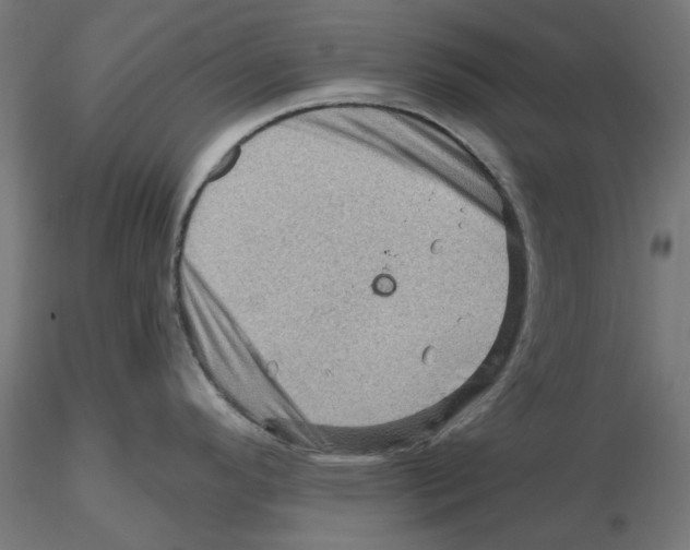 X0000116491296201001061133