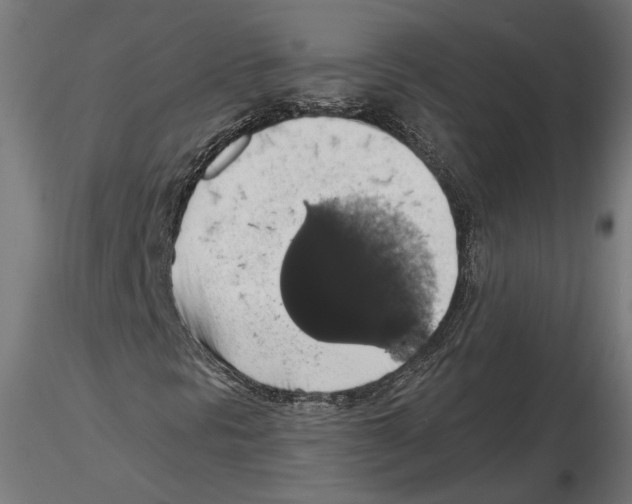 X0000116491297201001061133