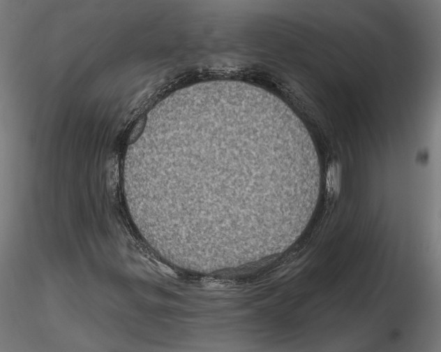 X0000116491299201001061133