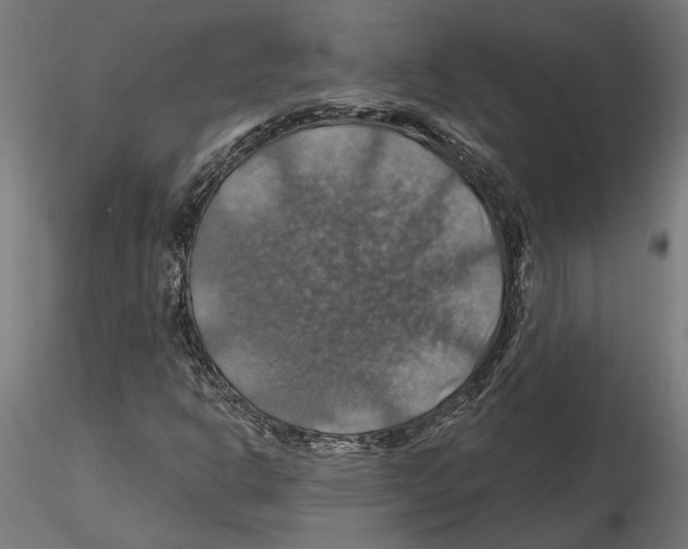 X0000116491302201001061133