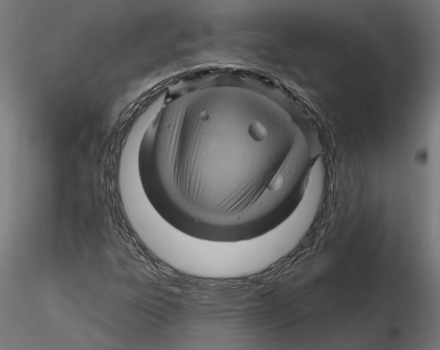 X0000116491303201001061133