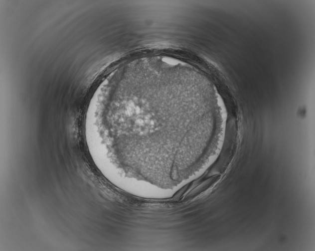 X0000116491305201001061133