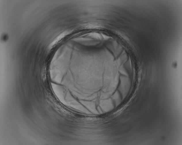 X0000116491306201001061133