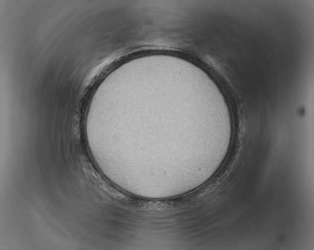 X0000116491307201001061133