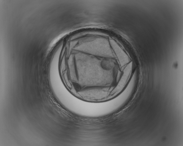 X0000116491310201001061133