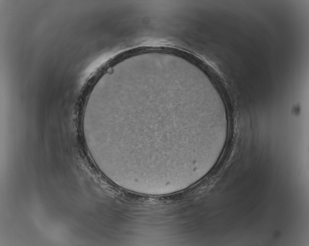 X0000116491311201001061133