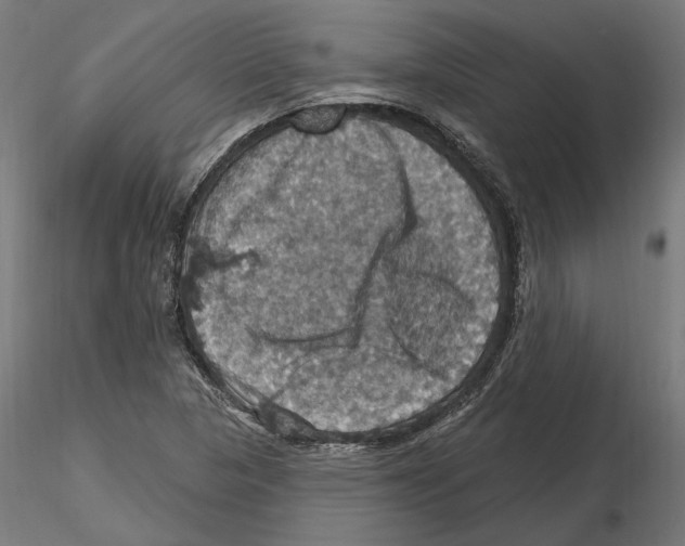 X0000116491313201001061133