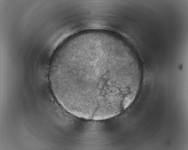 X0000116491314201001061133