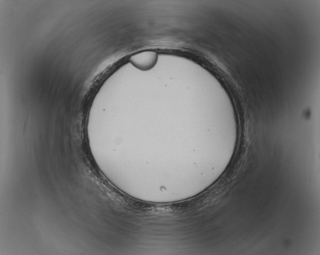 X0000116491315201001061133