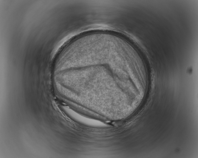 X0000116491318201001061133