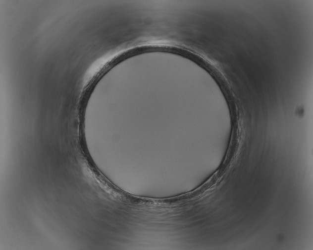 X0000116491319201001061133