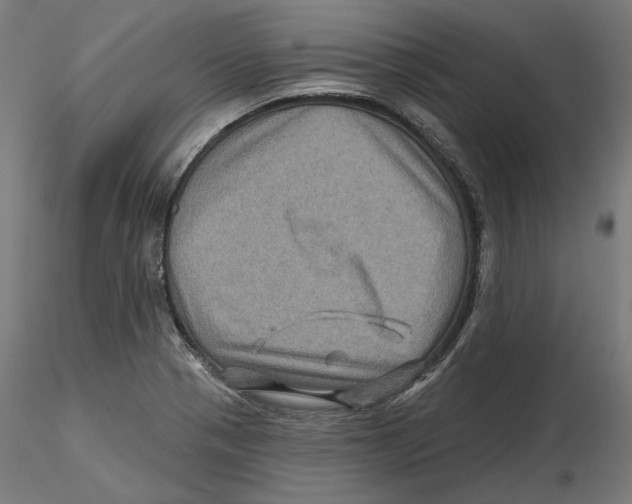 X0000116491321201001061133