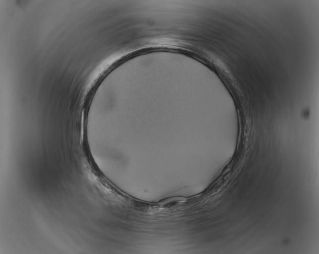 X0000116491323201001061133