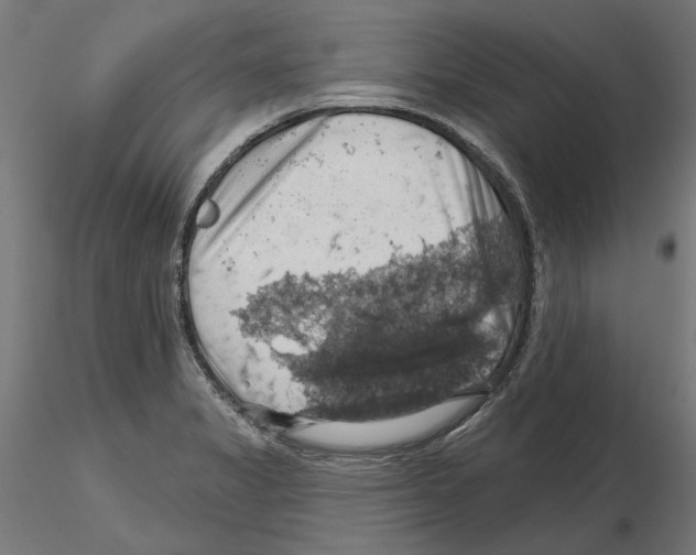 X0000116491325201001061133