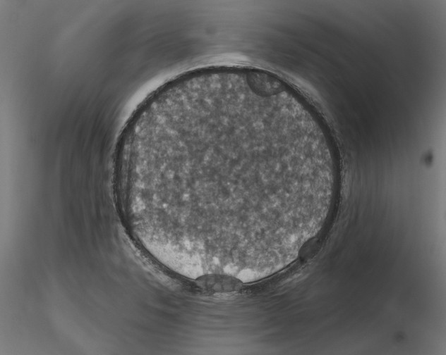 X0000116491326201001061133