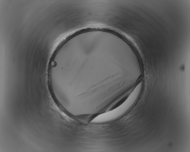 X0000116491327201001061133