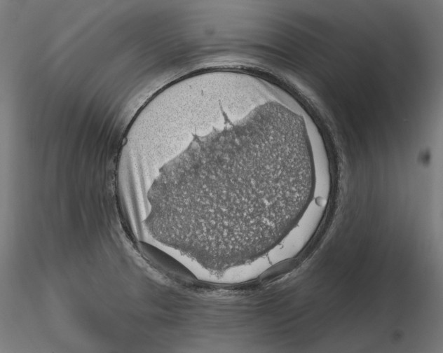 X0000116491329201001061133