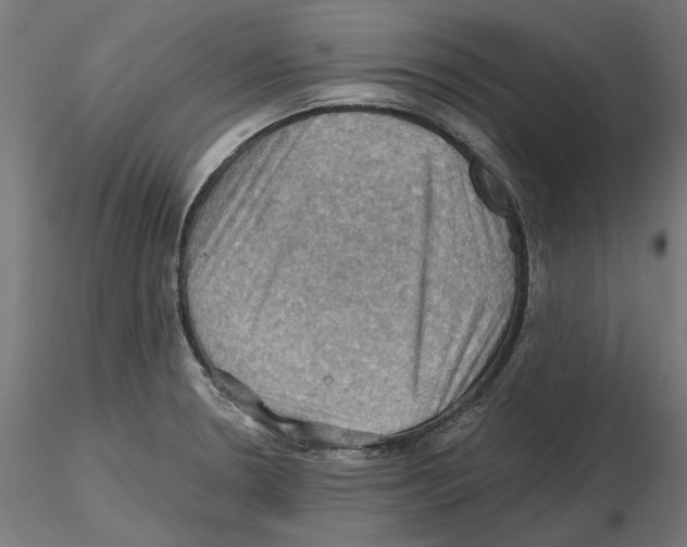 X0000116491330201001061133