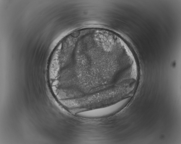 X0000116491333201001061133