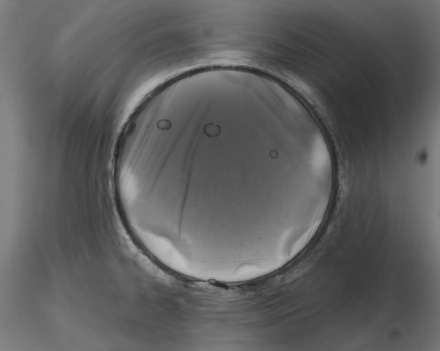 X0000116491334201001061133