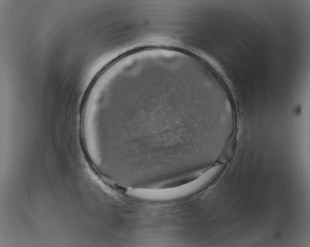 X0000116491335201001061133