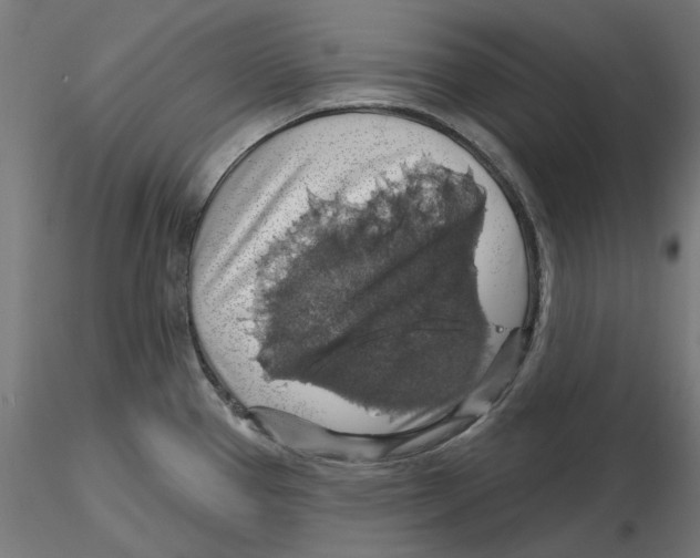 X0000116491337201001061133