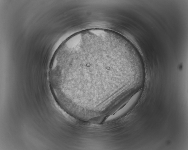 X0000116491339201001061133