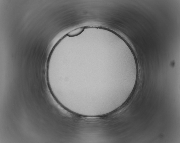 X0000116491343201001061133