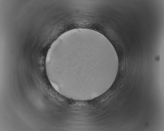 X0000116491346201001061132