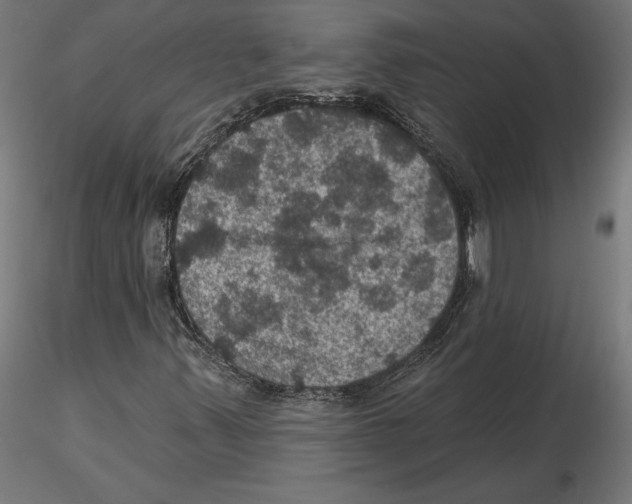 X0000116491347201001061132