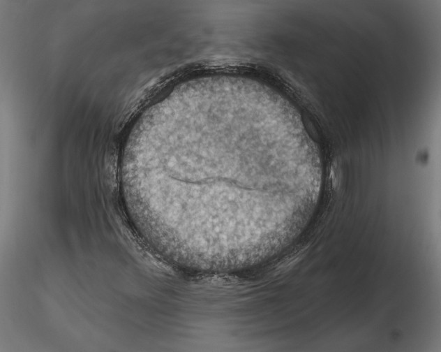 X0000116491348201001061132