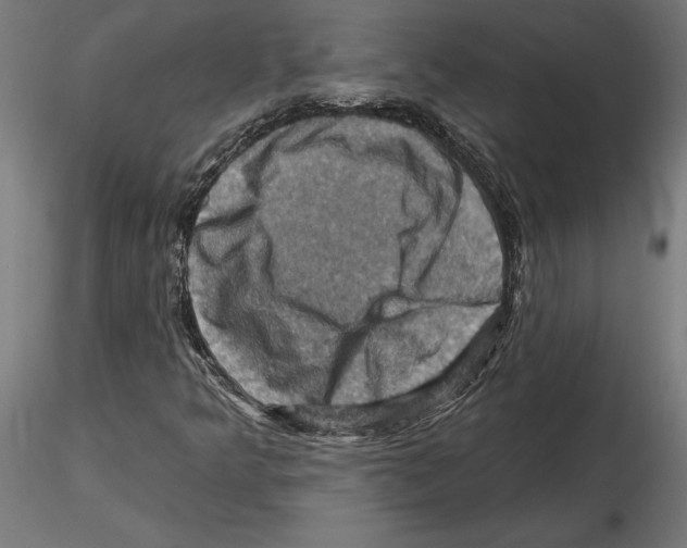 X0000116491349201001061132