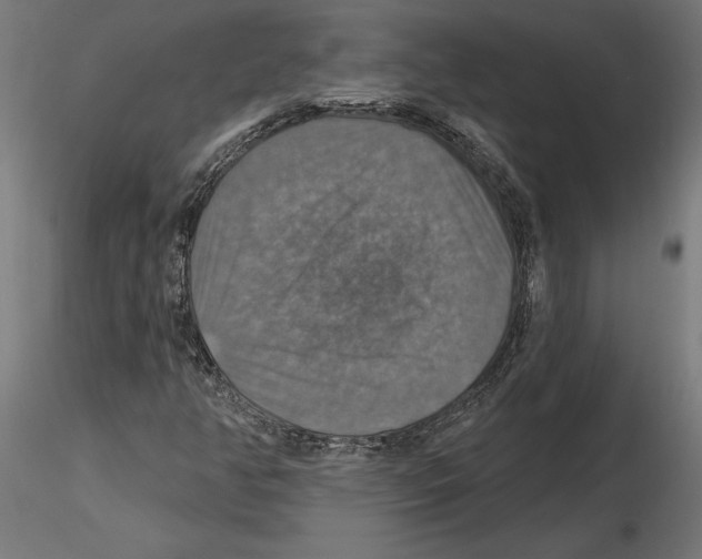 X0000116491350201001061132