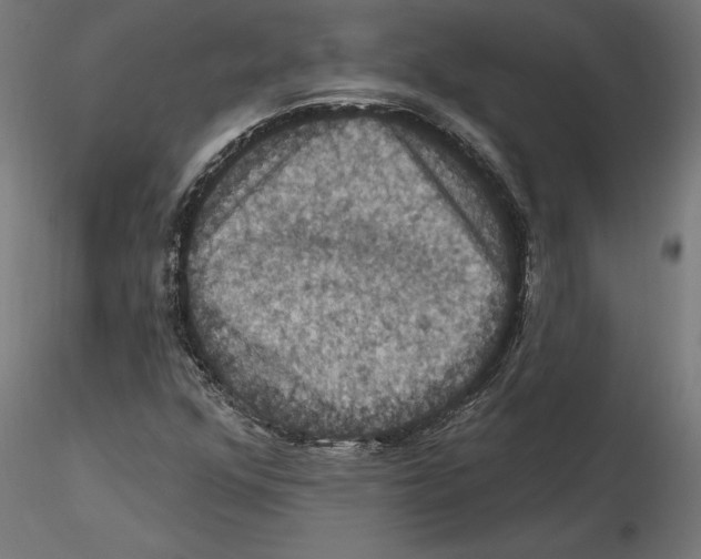 X0000116491352201001061132