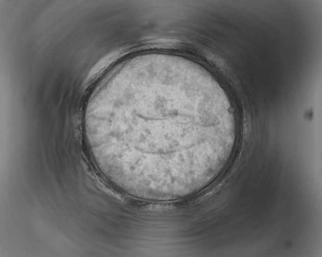 X0000116491354201001061132