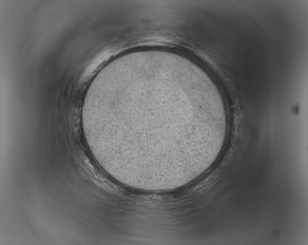 X0000116491355201001061132