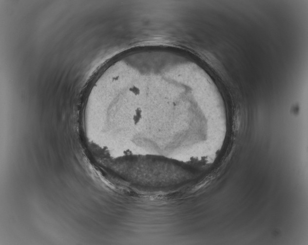 X0000116491356201001061132