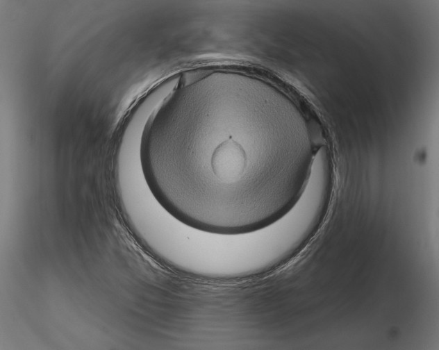 X0000116491357201001061132