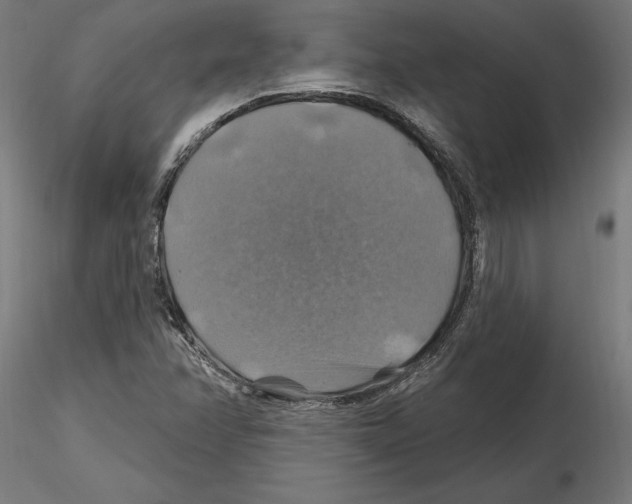 X0000116491358201001061132