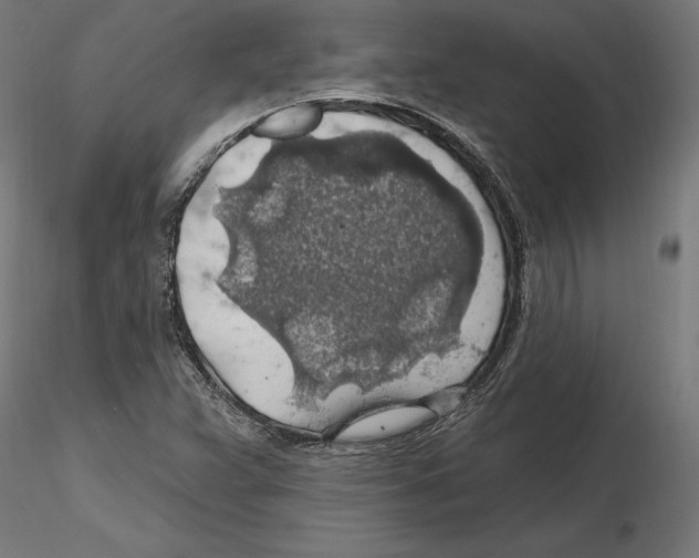 X0000116491359201001061132