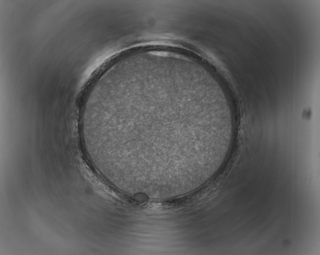 X0000116491360201001061132