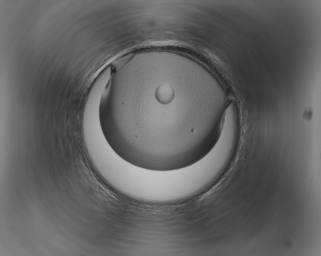 X0000116491361201001061132