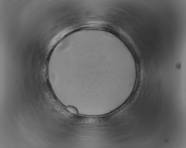 X0000116491362201001061132