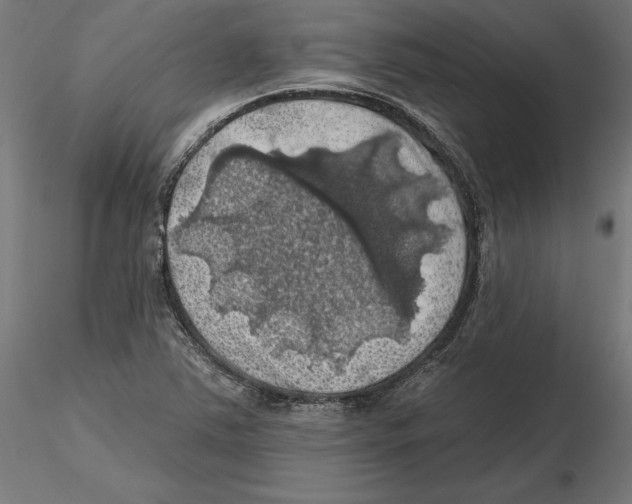 X0000116491363201001061132