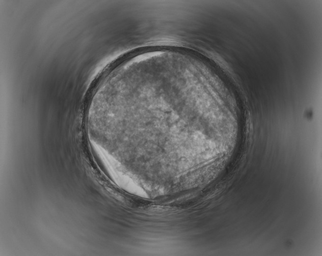 X0000116491364201001061132