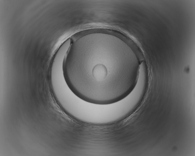 X0000116491365201001061132