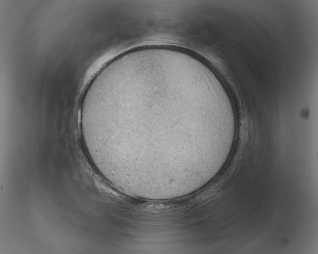 X0000116491366201001061132