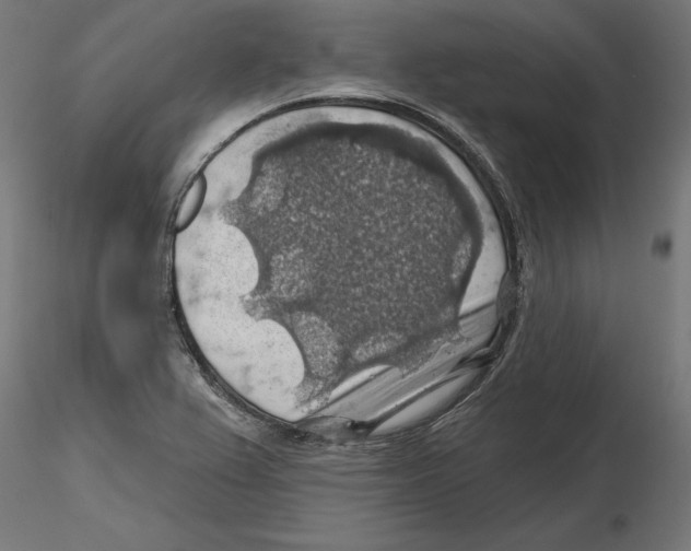 X0000116491367201001061132