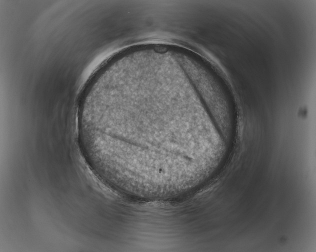 X0000116491368201001061132