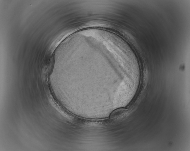 X0000116491369201001061132